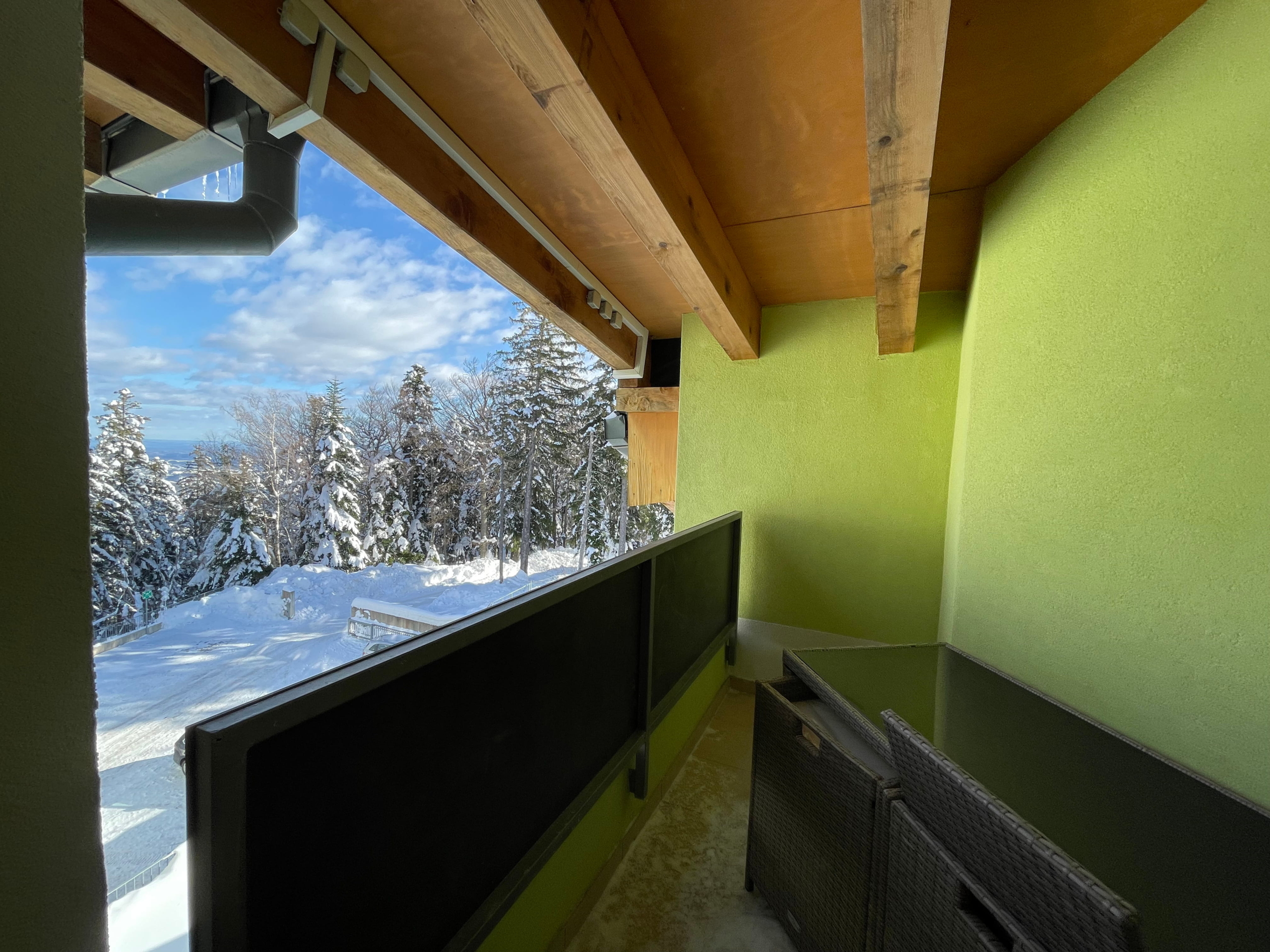 Apartma-Mariborsko-Pohorje-Rendera-apartma-pohorje-terasa
