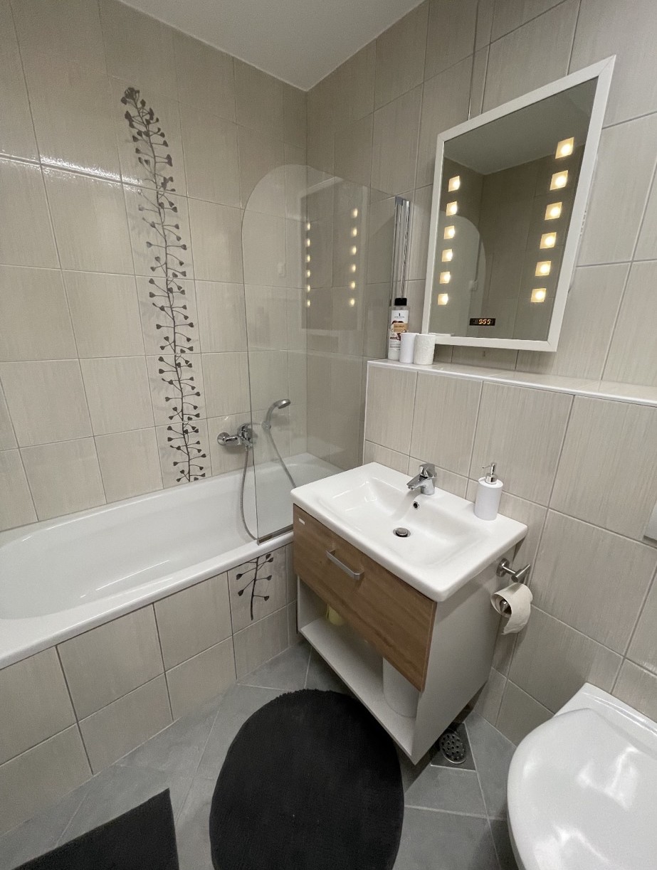 Apartma–Pohorske-terase-Mariborsko-Pohorje-Rendera-kopalnica