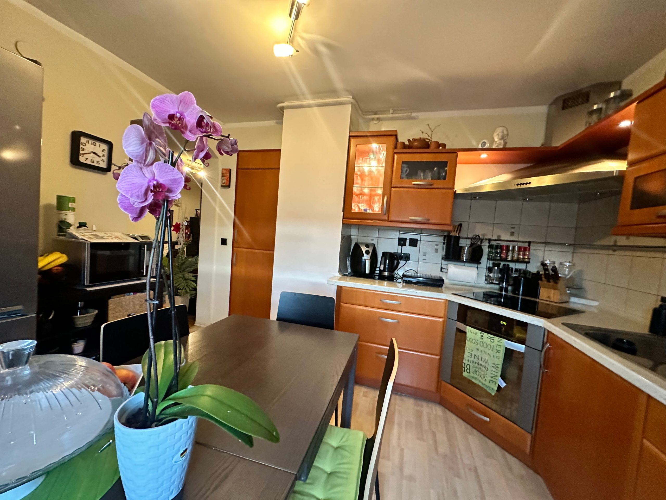 2,5-sobno-stanovanje-balkon-pogled-na-Pohorje-Rendera-kuhinja-roža 2,5-sobno-stanovanje-balkon-pogled-na-Pohorje-Rendera-kuhinja-roža